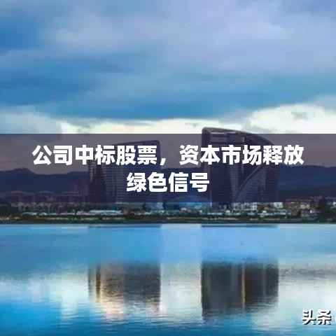 公司中标股票,资本市场释放绿色信号