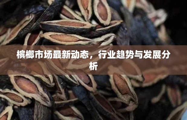 槟榔市场最新动态,行业趋势与发展分析