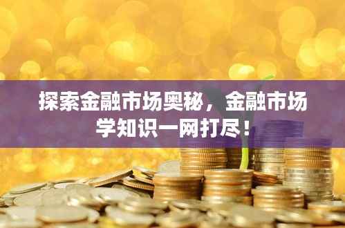 探索金融市场奥秘,金融市场学知识一网打尽!