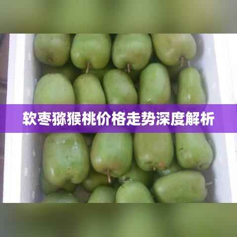软枣猕猴桃价格走势深度解析