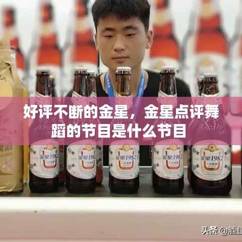 好评不断的金星,金星点评舞蹈的节目是什么节目