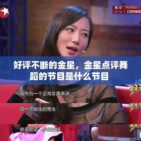 好评不断的金星,金星点评舞蹈的节目是什么节目