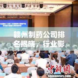 赣州制药公司排名揭晓,行业影响力不容小觑