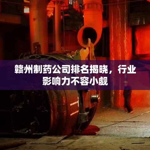 赣州制药公司排名揭晓,行业影响力不容小觑