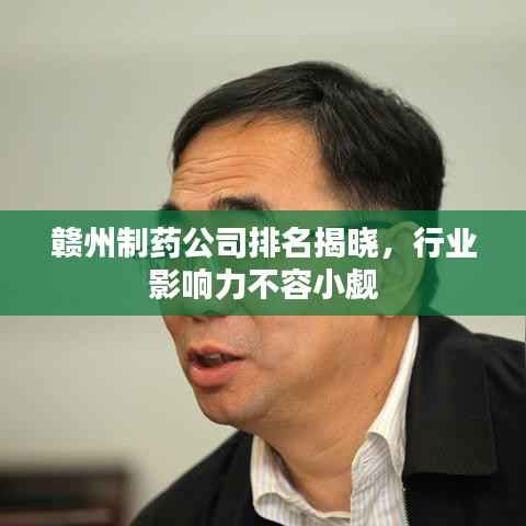 赣州制药公司排名揭晓,行业影响力不容小觑