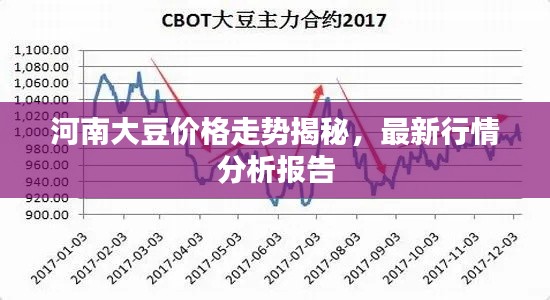 河南大豆价格走势揭秘,最新行情分析报告