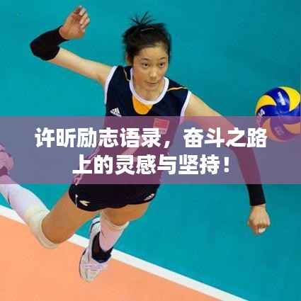 许昕励志语录,奋斗之路上的灵感与坚持!