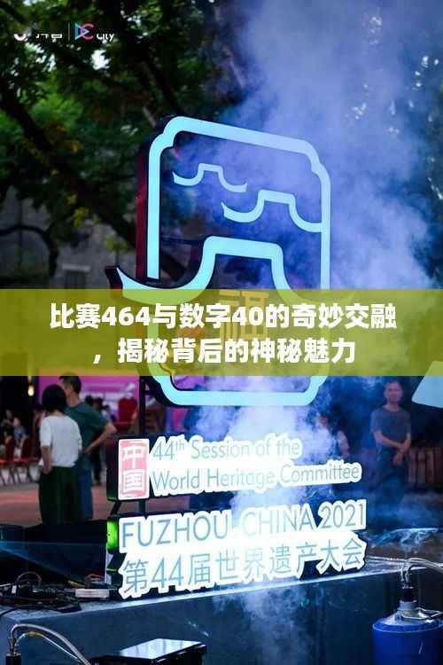比赛464与数字40的奇妙交融,揭秘背后的神秘魅力