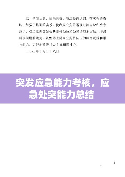突发应急能力考核,应急处突能力总结