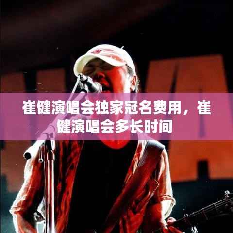 崔健演唱会独家冠名费用,崔健演唱会多长时间