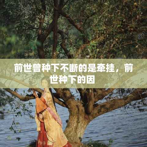 前世曾种下不断的是牵挂,前世种下的因