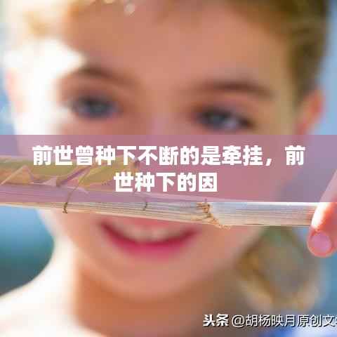 前世曾种下不断的是牵挂,前世种下的因