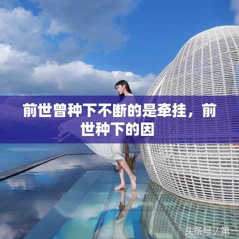 前世曾种下不断的是牵挂,前世种下的因