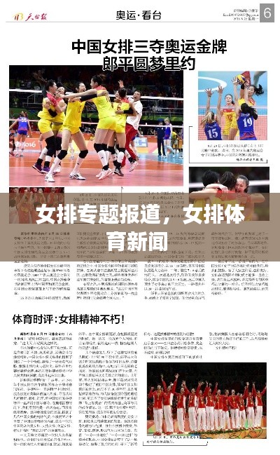 女排专题报道,女排体育新闻