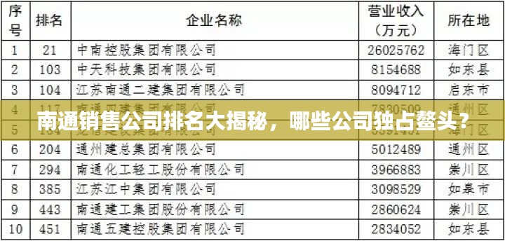 南通销售公司排名大揭秘,哪些公司独占鳌头?