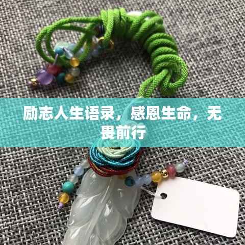 励志人生语录,感恩生命,无畏前行