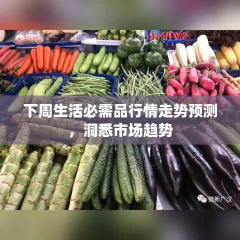 下周生活必需品行情走势预测,洞悉市场趋势