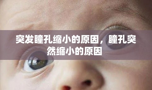 突发瞳孔缩小的原因,瞳孔突然缩小的原因