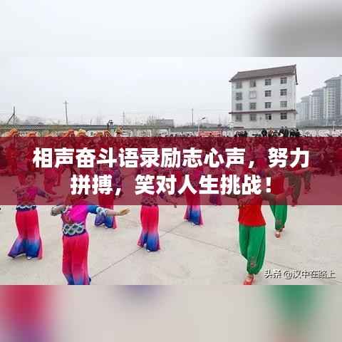 相声奋斗语录励志心声,努力拼搏,笑对人生挑战!