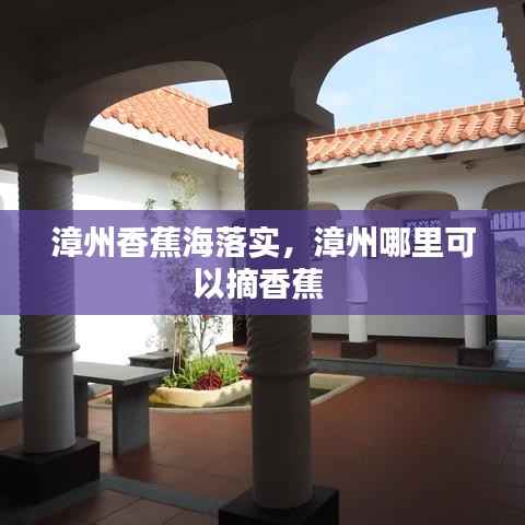 漳州香蕉海落实,漳州哪里可以摘香蕉