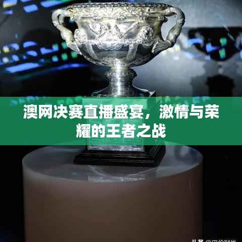 澳网决赛直播盛宴,激情与荣耀的王者之战