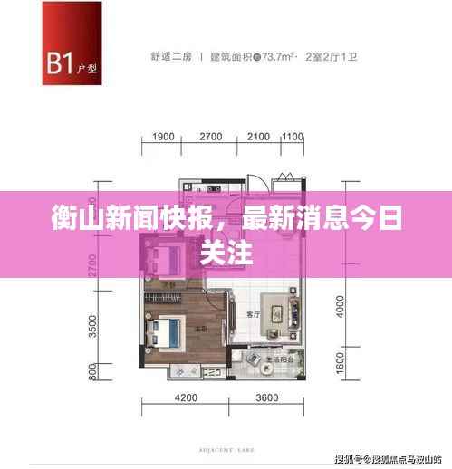 衡山新闻快报,最新消息今日关注