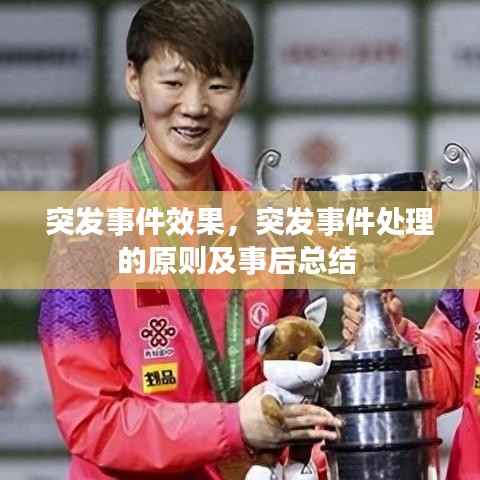 突发事件效果,突发事件处理的原则及事后总结
