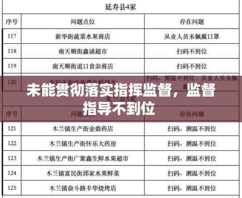 未能贯彻落实指挥监督,监督指导不到位