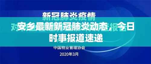 安乡最新新冠肺炎动态，今日时事报道速递