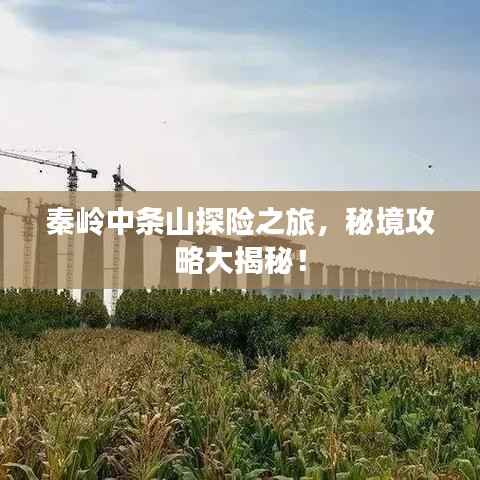 秦岭中条山探险之旅,秘境攻略大揭秘!