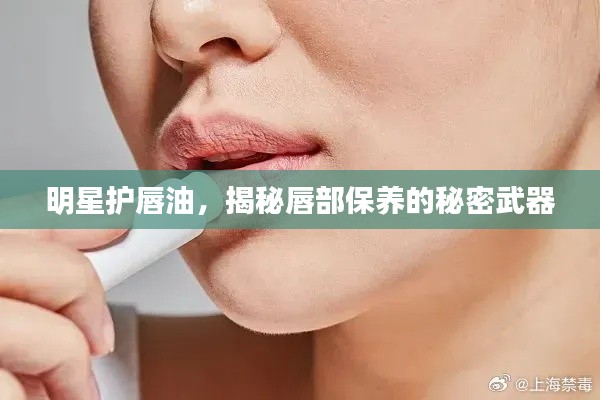 明星护唇油,揭秘唇部保养的秘密武器