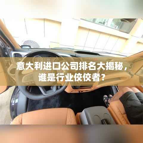 意大利进口公司排名大揭秘,谁是行业佼佼者?