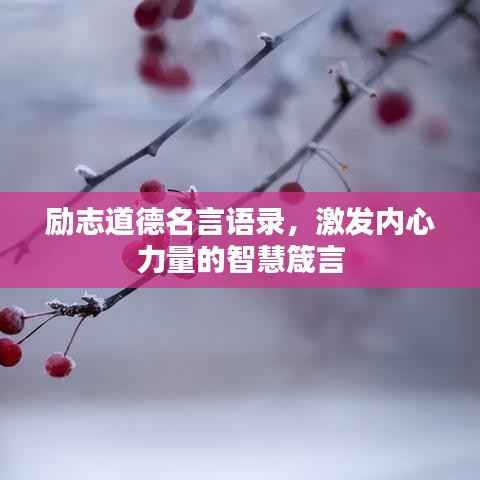 虫言鸟迹 第2页