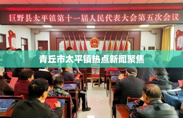 青丘市太平镇热点新闻聚焦