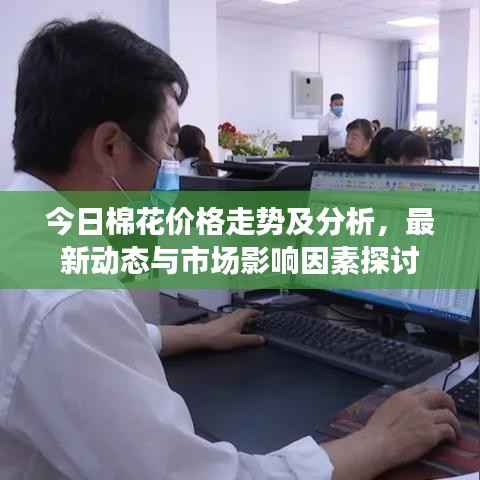 今日棉花价格走势及分析,最新动态与市场影响因素探讨