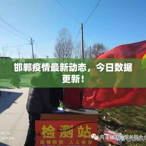 邯郸疫情最新动态,今日数据更新!