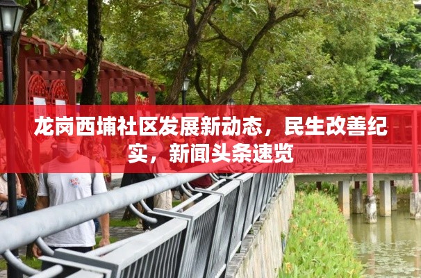 龙岗西埔社区发展新动态,民生改善纪实,新闻头条速览