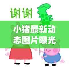 小猪最新动态图片曝光,不容错过!