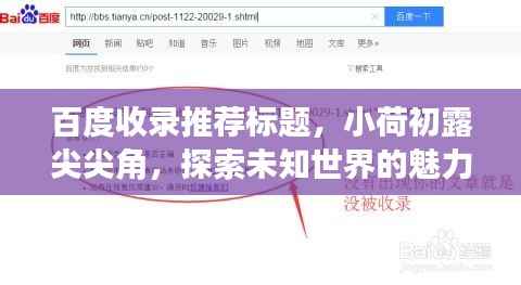 百度收录推荐标题,小荷初露尖尖角,探索未知世界的魅力