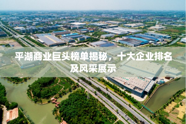 平湖商业巨头榜单揭秘,十大企业排名及风采展示