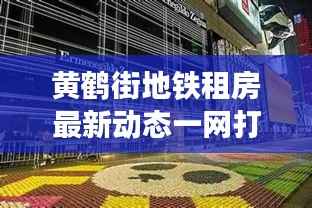 黄鹤街地铁租房最新动态一网打尽