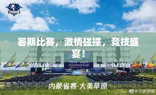 暑期比赛,激情碰撞,竞技盛宴!