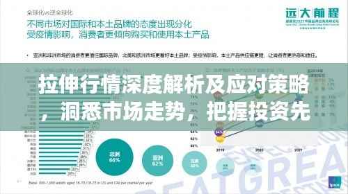 拉伸行情深度解析及应对策略,洞悉市场走势,把握投资先机