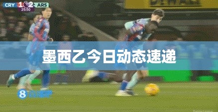 墨西乙今日动态速递