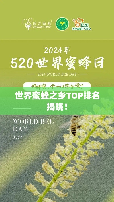 世界蜜蜂之乡TOP排名揭晓!